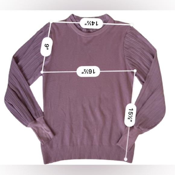 Sioni Mauve Crewneck Sweater with Long Semi Sheer Pleated Sleeves Size S - Picture 4 of 7